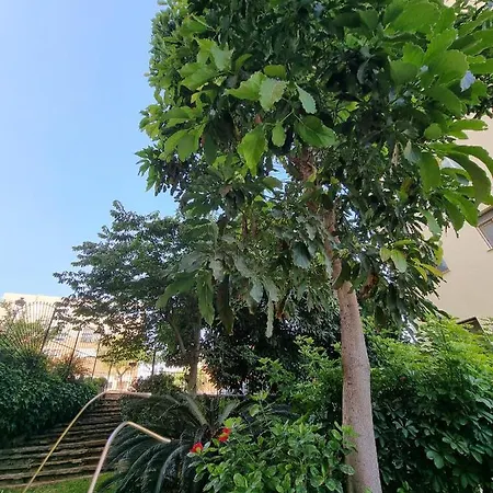 Apartamento Kai Alde *