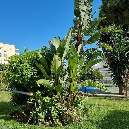 Apartamento Kai Alde *